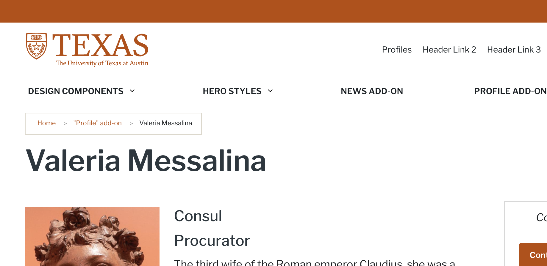 Screenshot of header menu with no visual active status