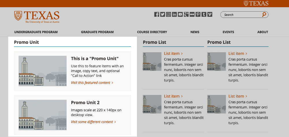 Promo Unit example